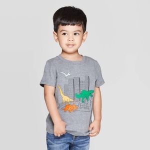 Boys’ Dino City Graphic Short Sleeve T-Shirt Gray
